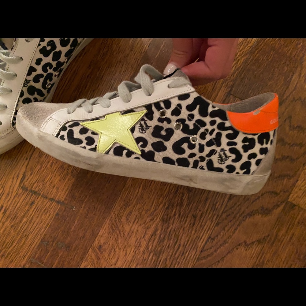 Cheetah Golden goose - Picture 8 of 8